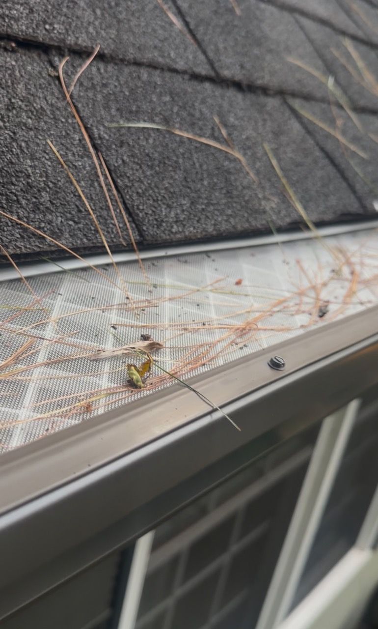 Close-up of installed surgical-grade micromesh gutter guard holding pine needles and debris on top while water filters through