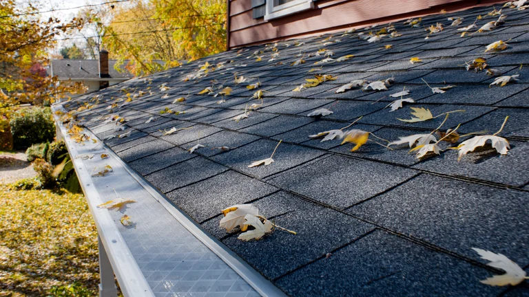 Clean gutters protected by LeafFilter micromesh keeping debris off the roof edge