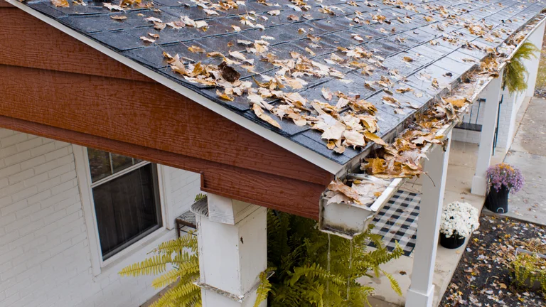 Unprotected gutters on a South Carolina home overflowing with leaves and debris